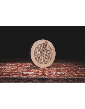 Meinl Sonic Energy HD16WB-FOL Hand Drum 16