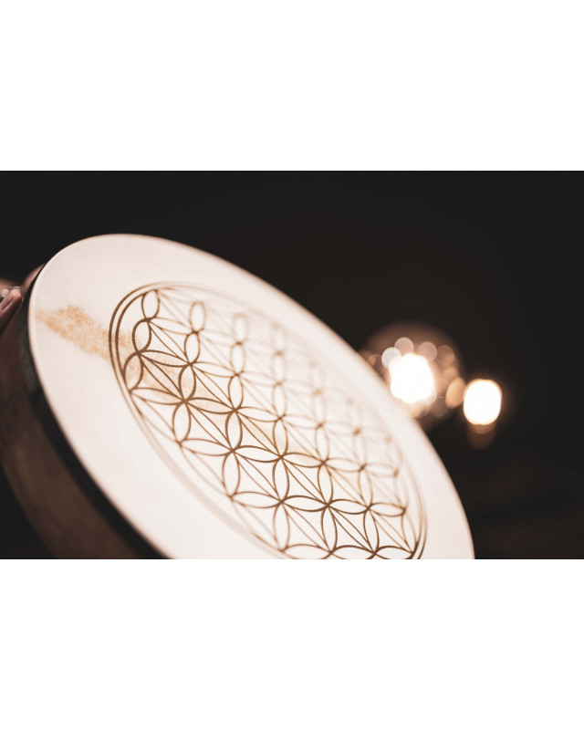 Meinl Sonic Energy HD16WB-FOL Hand Drum 16