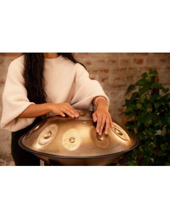 Meinl Sonic Energy HPSTL100 Sensory Handpan Stainless Steel D Kurd 10 Notes 440 Hz - Vintage Gold