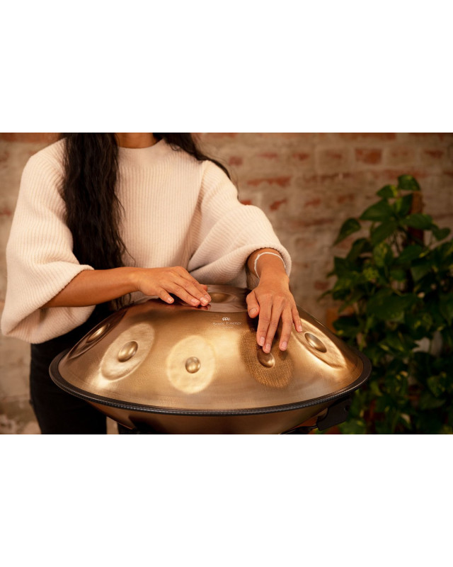 Meinl Sonic Energy HPSTL100 Sensory Handpan Stainless Steel D Kurd 10 Notes 440 Hz - Vintage Gold