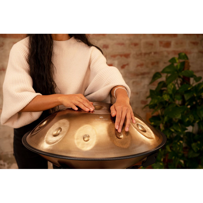 Meinl Sonic Energy HPSTL100 Sensory Handpan Stainless Steel D Kurd 10 Notes 440 Hz - Vintage Gold