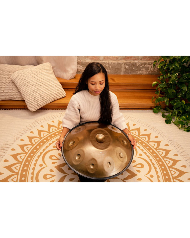 Meinl Sonic Energy HPSTL100 Sensory Handpan Stainless Steel D Kurd 10 Notes 440 Hz - Vintage Gold
