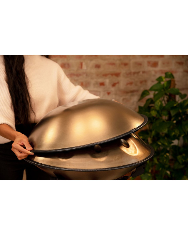 Meinl Sonic Energy HPSTL100 Sensory Handpan Stainless Steel D Kurd 10 Notes 440 Hz - Vintage Gold