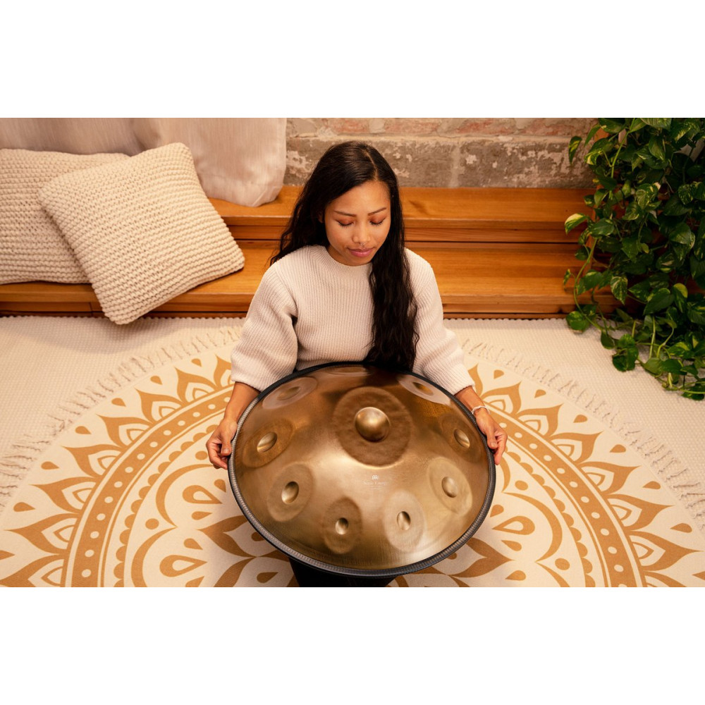 Meinl Sonic Energy HPSTL101 Sensory Handpan Stainless Steel D Amara 10 Notes 440 Hz - Vintage Gold