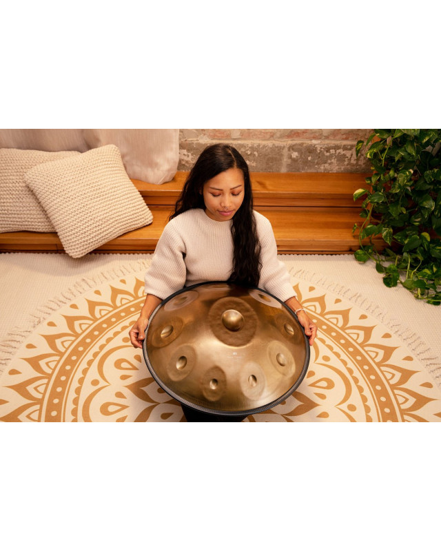 Meinl Sonic Energy HPSTL101 Sensory Handpan Stainless Steel D Amara 10 Notes 440 Hz - Vintage Gold