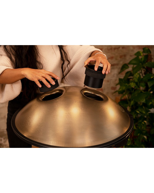 Meinl Sonic Energy HPSTL101 Sensory Handpan Stainless Steel D Amara 10 Notes 440 Hz - Vintage Gold