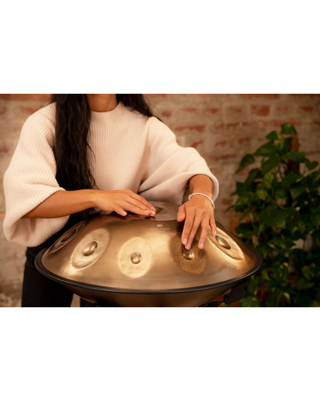 Meinl Sonic Energy HPSTL101 Sensory Handpan Stainless Steel D Amara 10 Notes 440 Hz - Vintage Gold