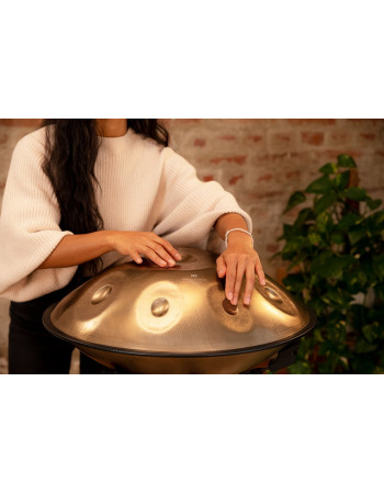 Meinl Sonic Energy HPSTL90 Sensory Handpan Stainless Steel D Kurd 9 Notes 440 Hz - Vintage Gold