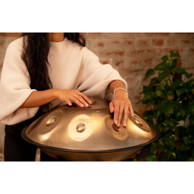 Meinl Sonic Energy HPSTL90 Sensory Handpan Stainless Steel D Kurd 9 Notes 440 Hz - Vintage Gold