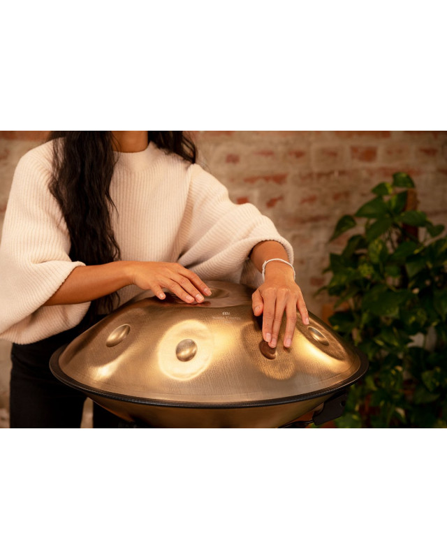 Meinl Sonic Energy HPSTL90 Sensory Handpan Stainless Steel D Kurd 9 Notes 440 Hz - Vintage Gold