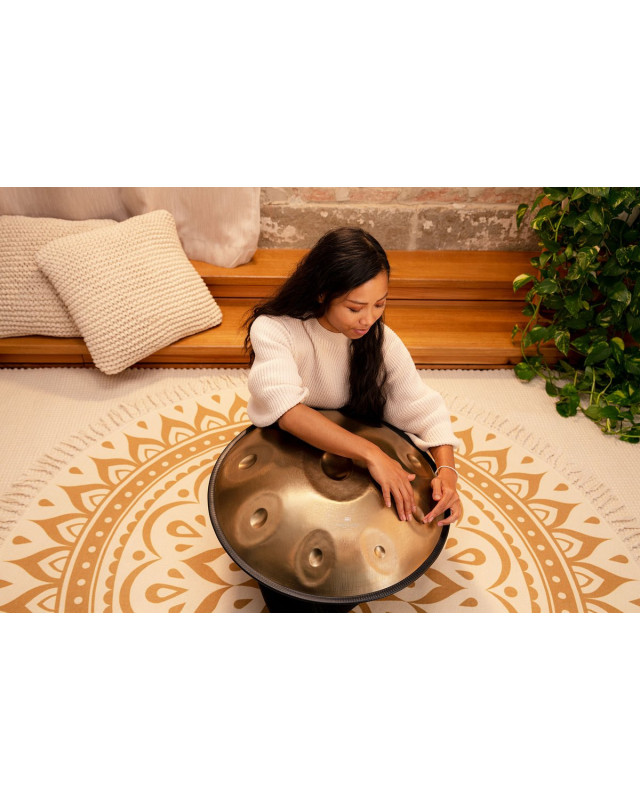 Meinl Sonic Energy HPSTL90 Sensory Handpan Stainless Steel D Kurd 9 Notes 440 Hz - Vintage Gold