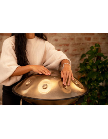 Meinl Sonic Energy HPSTL91 Sensory Handpan Stainless Steel D Amara 9 Notes 440 Hz - Vintage Gold