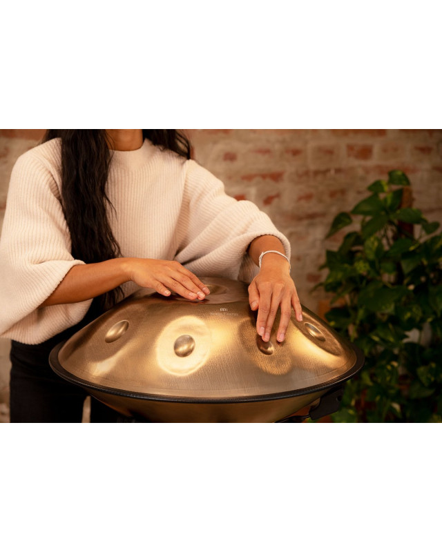 Meinl Sonic Energy HPSTL91 Sensory Handpan Stainless Steel D Amara 9 Notes 440 Hz - Vintage Gold