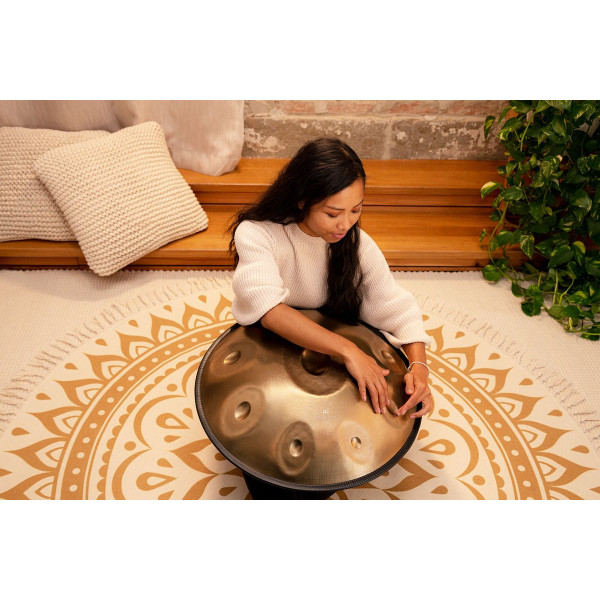 Meinl Sonic Energy HPSTL91 Sensory Handpan Stainless Steel D Amara 9 Notes 440 Hz - Vintage Gold