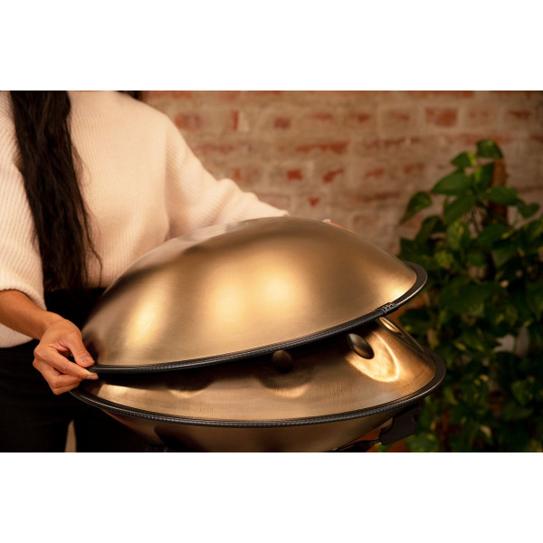 Meinl Sonic Energy HPSTL91 Sensory Handpan Stainless Steel D Amara 9 Notes 440 Hz - Vintage Gold