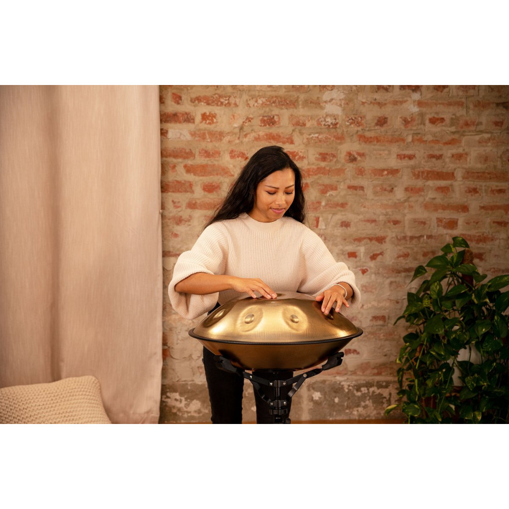 Meinl Sonic Energy HPSTL92 Sensory Handpan Stainless Steel C# Minor 9 Notes 432 Hz - Vintage Gold
