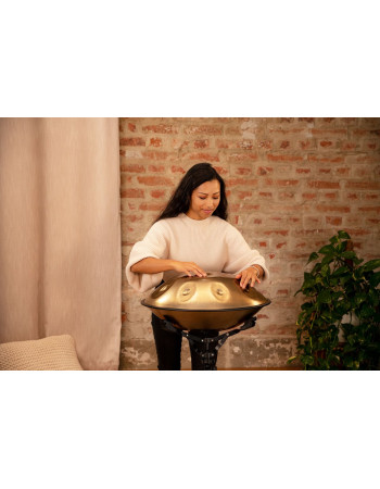 Meinl Sonic Energy HPSTL92 Sensory Handpan Stainless Steel C# Minor 9 Notes 432 Hz - Vintage Gold