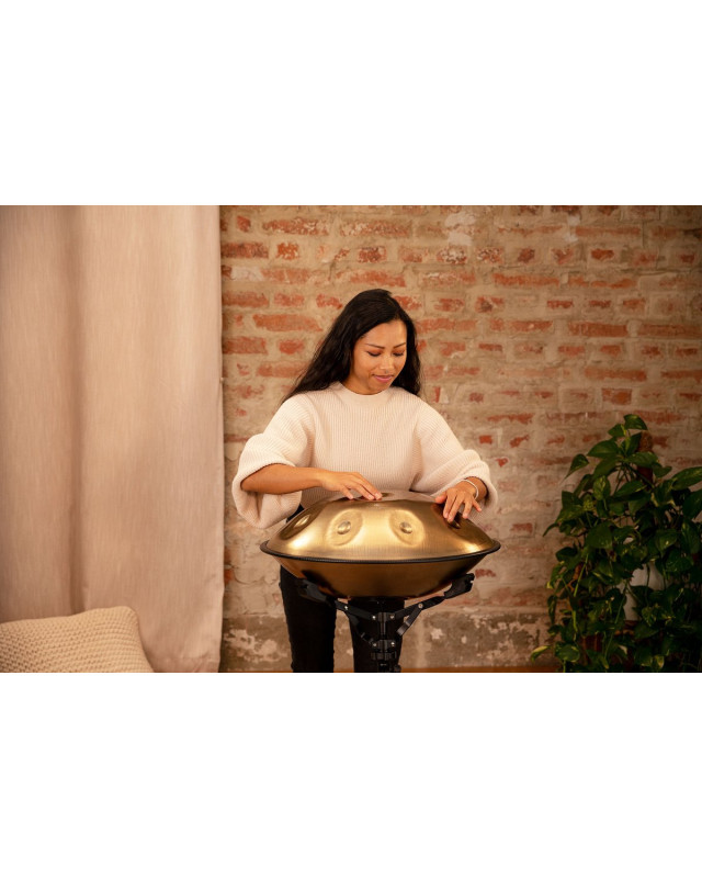 Meinl Sonic Energy HPSTL92 Sensory Handpan Stainless Steel C# Minor 9 Notes 432 Hz - Vintage Gold