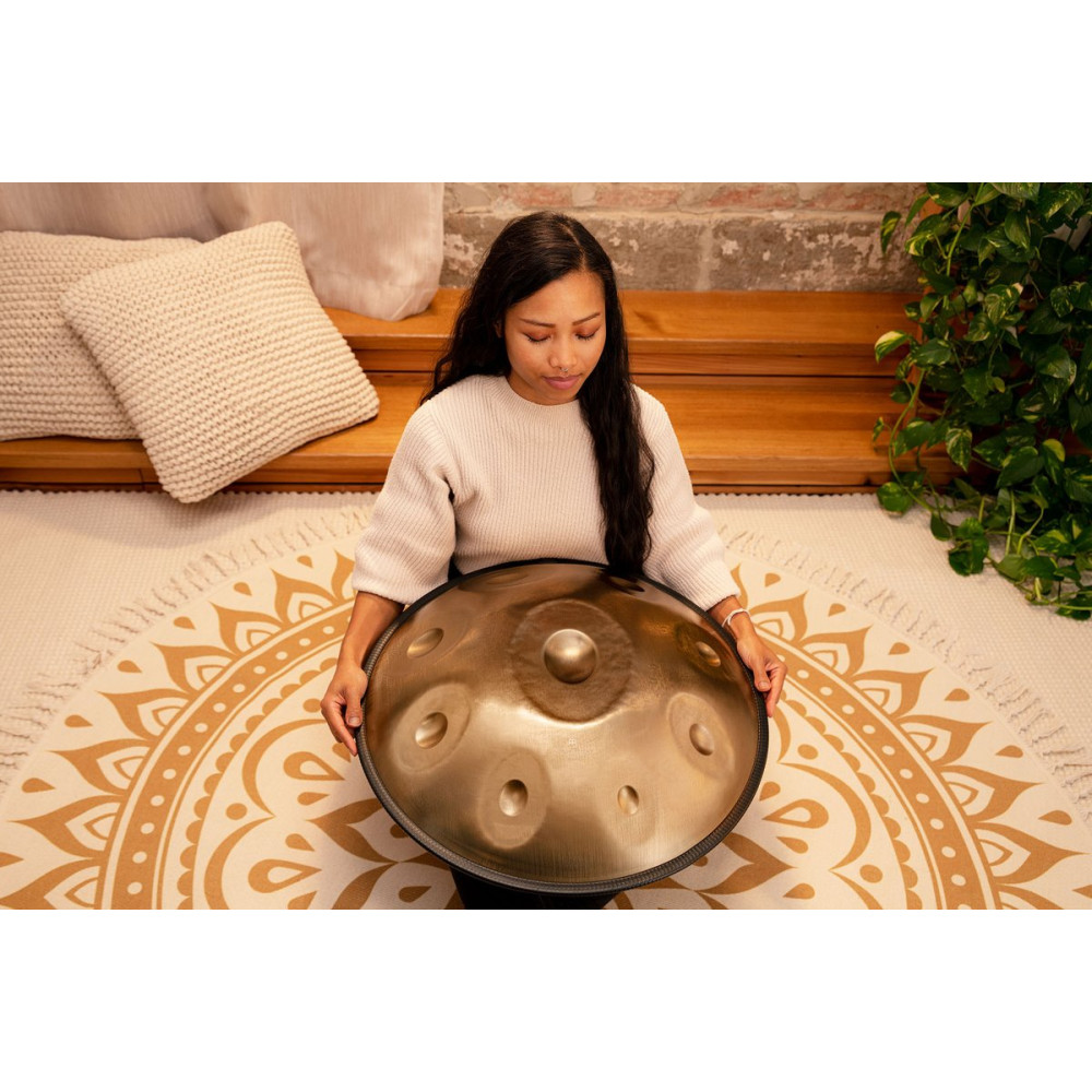 Meinl Sonic Energy HPSTL92 Sensory Handpan Stainless Steel C# Minor 9 Notes 432 Hz - Vintage Gold