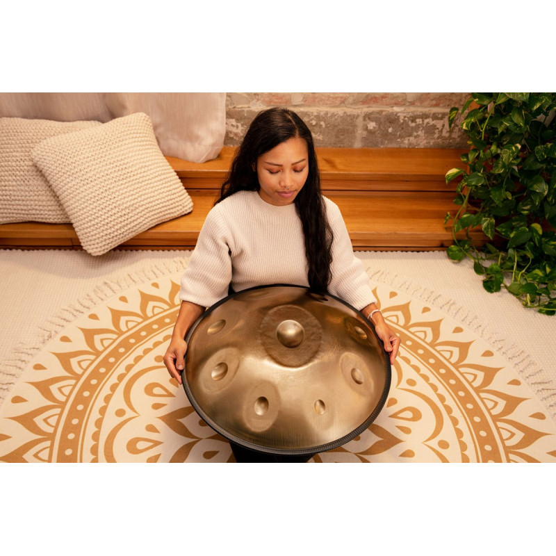 Meinl Sonic Energy HPSTL92 Sensory Handpan Stainless Steel C# Minor 9 Notes 432 Hz - Vintage Gold