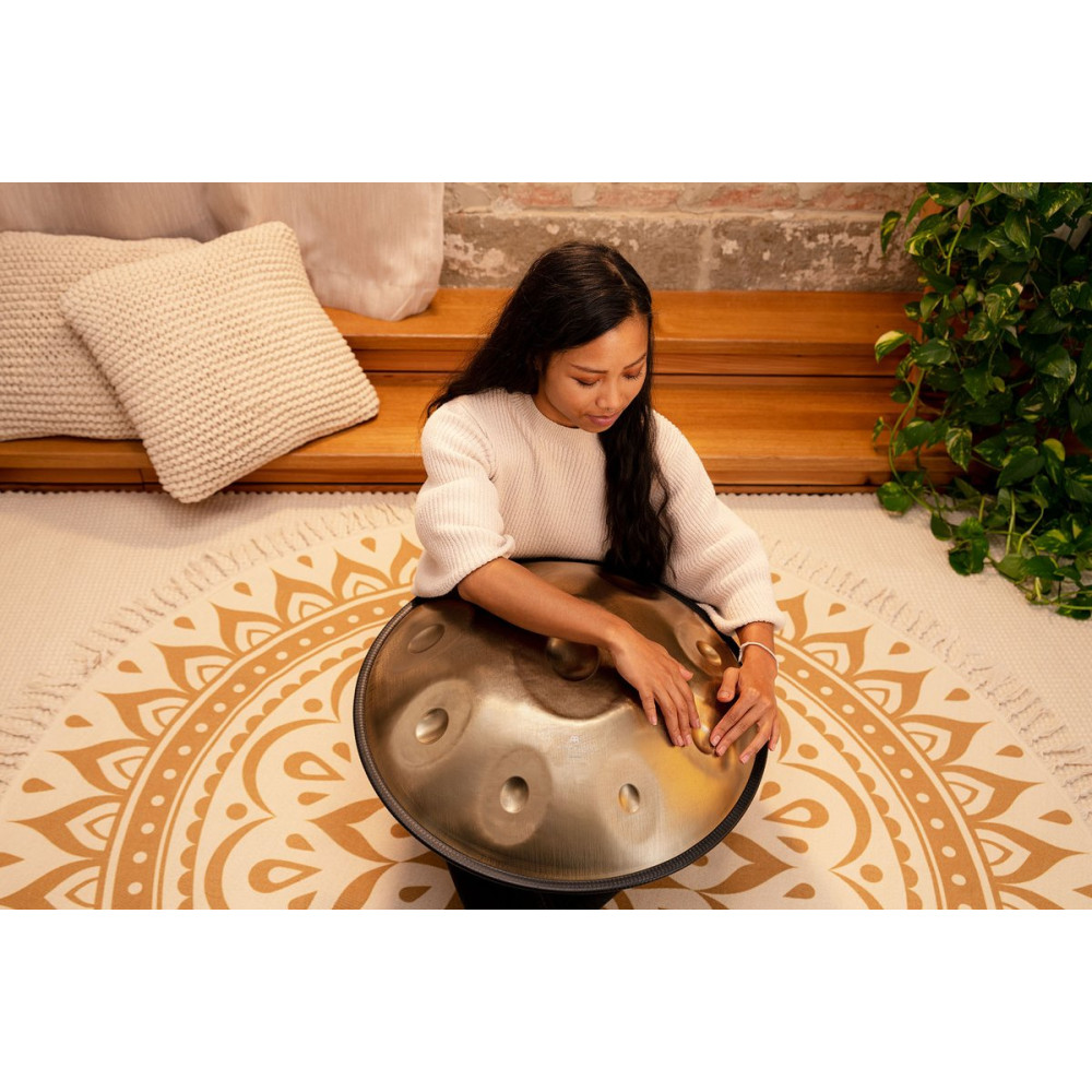 Meinl Sonic Energy HPSTL92 Sensory Handpan Stainless Steel C# Minor 9 Notes 432 Hz - Vintage Gold