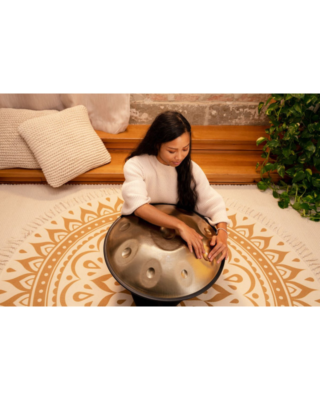 Meinl Sonic Energy HPSTL92 Sensory Handpan Stainless Steel C# Minor 9 Notes 432 Hz - Vintage Gold