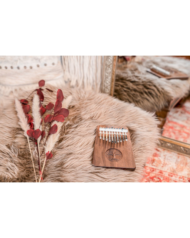 Meinl Sonic Energy KL1001TOL Solid 