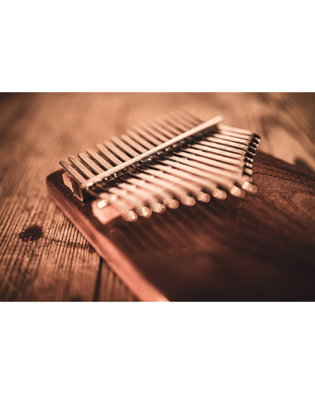 Meinl Sonic Energy KL1701S Solid Kalimba, 17 notes, black walnut