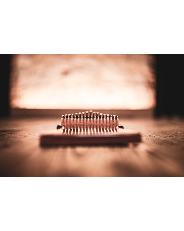 Meinl Sonic Energy KL1702S Solid Kalimba, 17 notes, sapele