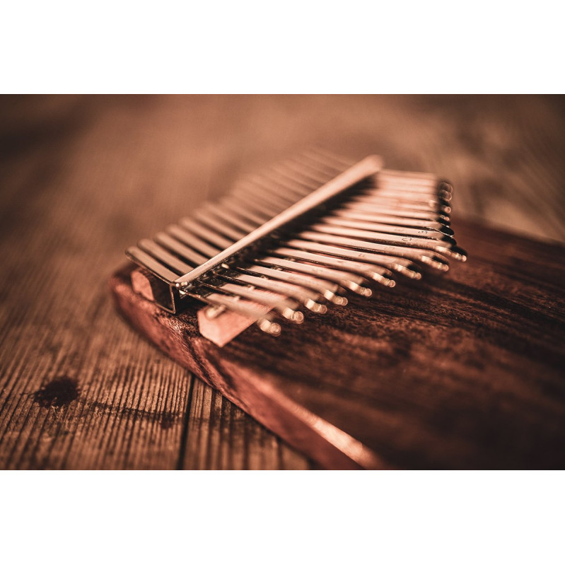 Meinl Sonic Energy KL1703S Solid Kalimba, 17 notes, acacia