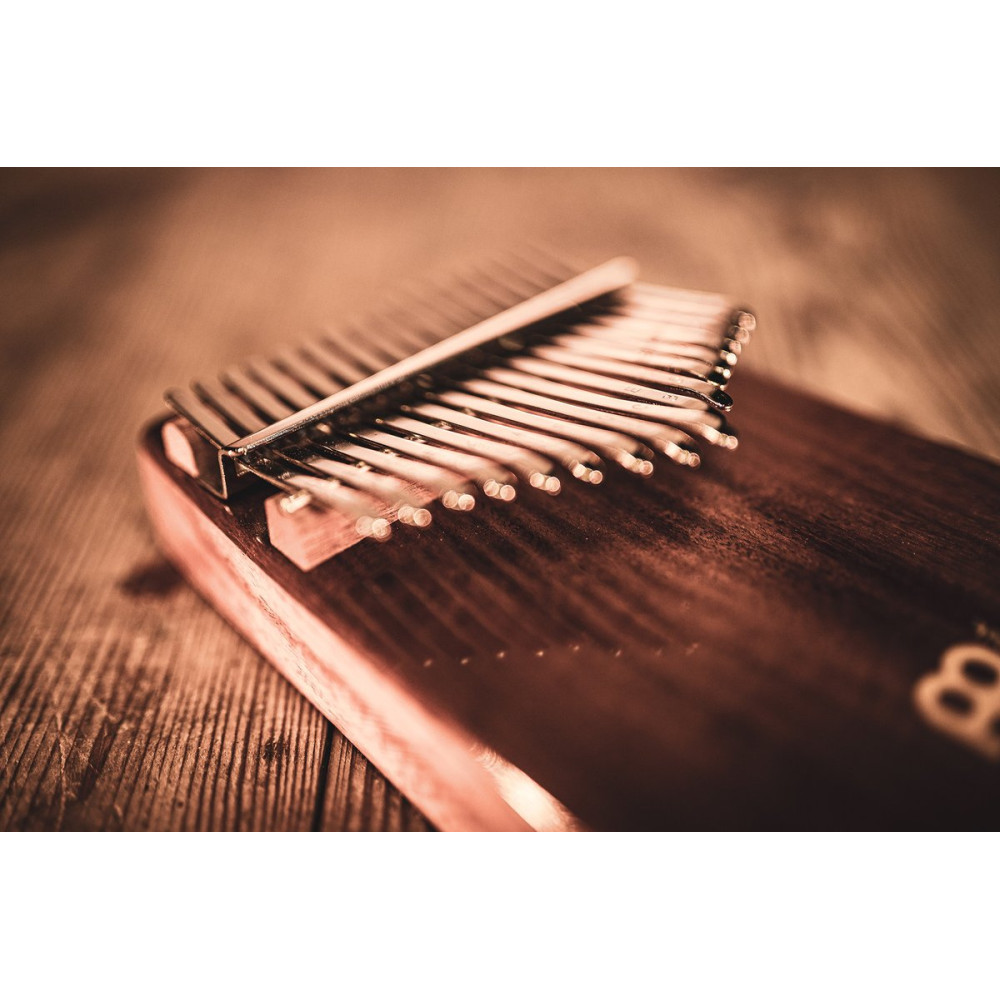 Meinl Sonic Energy KL1705H Wah-Wah Kalimba, 17 notes, acacia