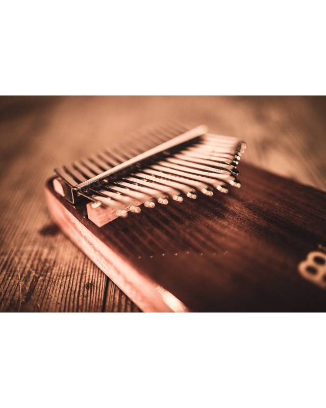 Meinl Sonic Energy KL1705H Wah-Wah Kalimba, 17 notes, acacia