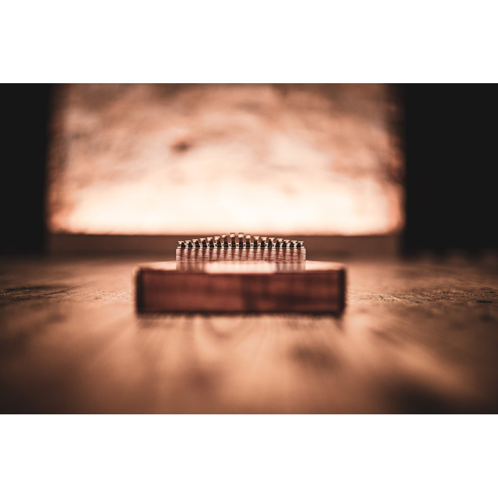 Meinl Sonic Energy KL1706H Sound Hole Kalimba, 17 tones - maple + acacia