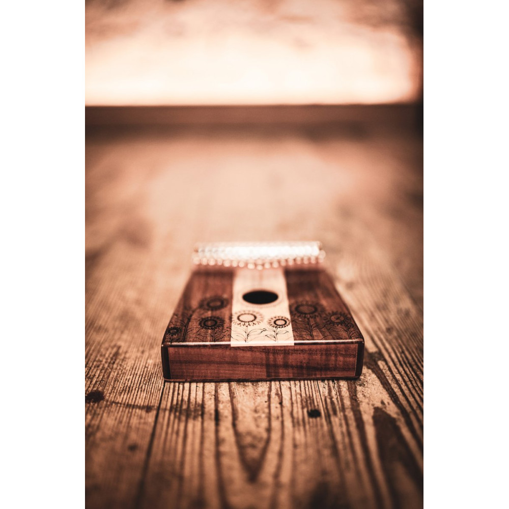 Meinl Sonic Energy KL1706H Sound Hole Kalimba, 17 tones - maple + acacia