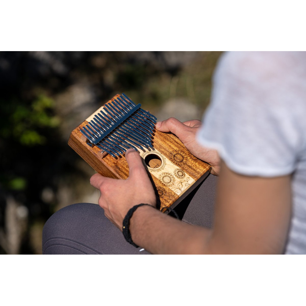 Meinl Sonic Energy KL1706H Sound Hole Kalimba, 17 tones - maple + acacia
