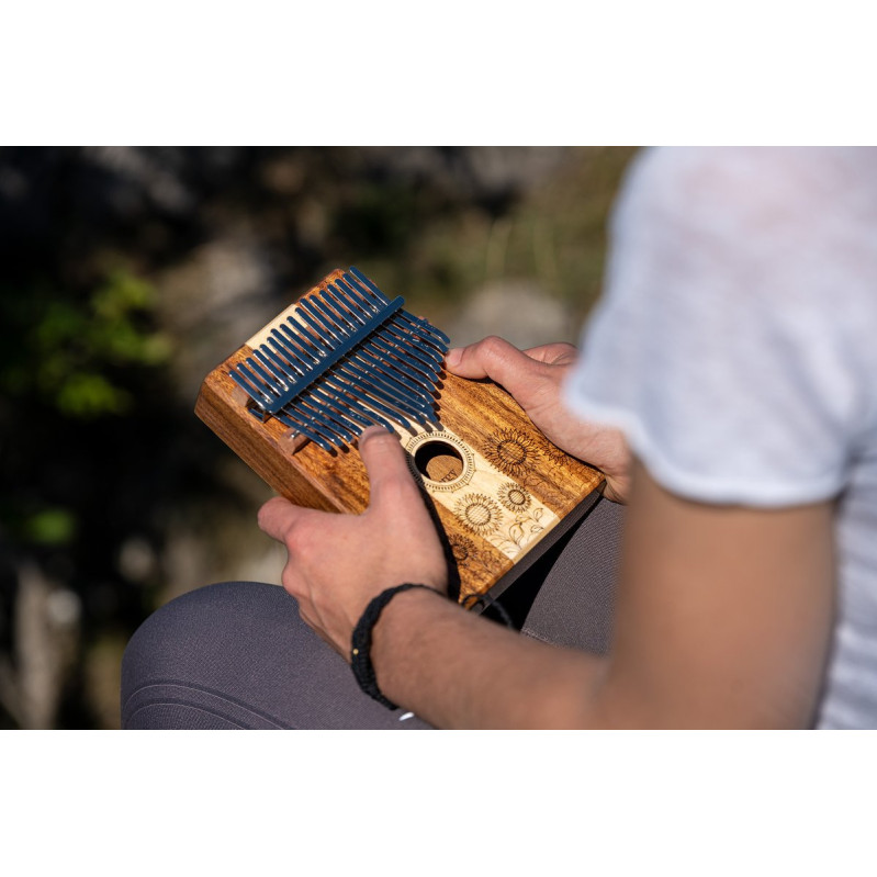 Meinl Sonic Energy KL1706H Sound Hole Kalimba, 17 tones - maple + acacia