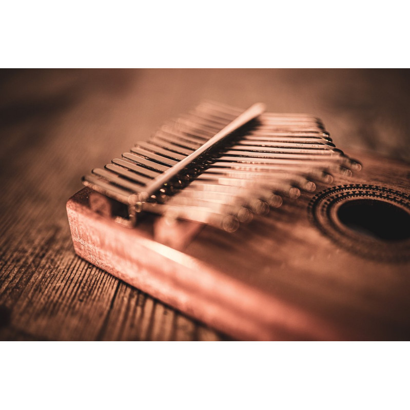 Meinl Sonic Energy KL1707H Sound Hole Kalimba, 17 notes, acacia