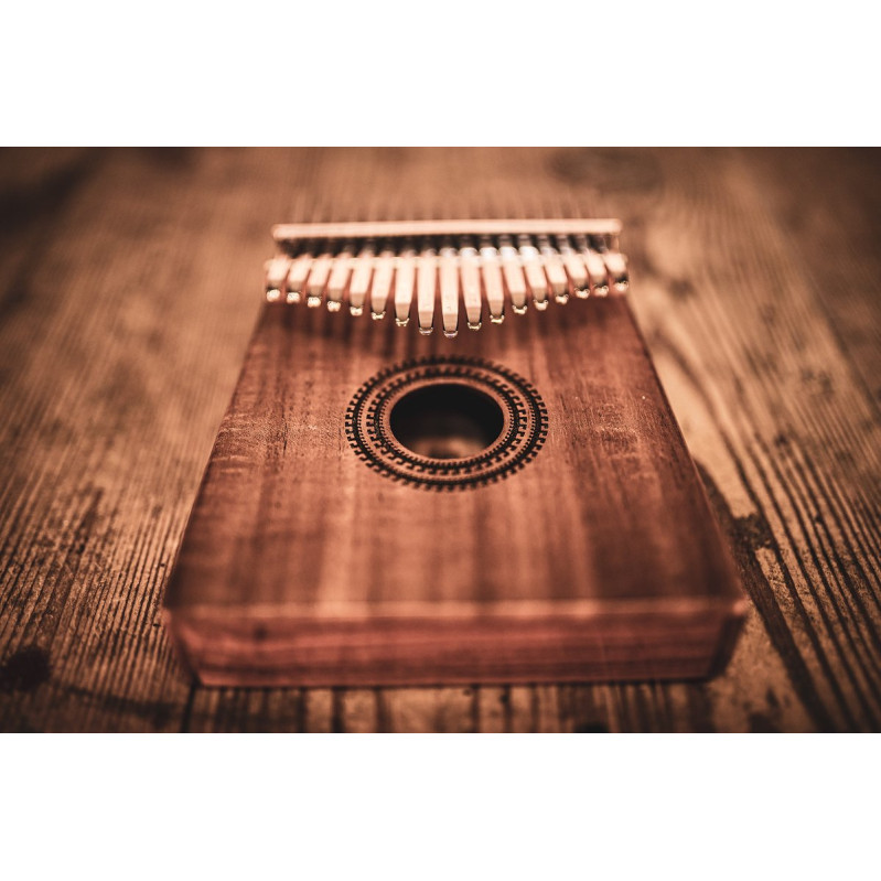 Meinl Sonic Energy KL1707H Sound Hole Kalimba, 17 notes, acacia