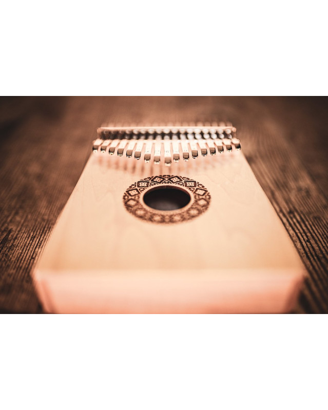 Meinl Sonic Energy KL1709H Sound Hole Kalimba, 17 notes, maple