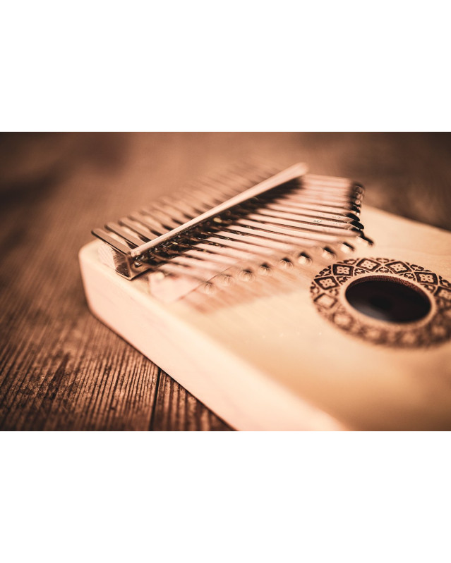 Meinl Sonic Energy KL1709H Sound Hole Kalimba, 17 notes, maple