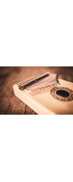 Meinl Sonic Energy KL1709H Sound Hole Kalimba, 17 notes, maple