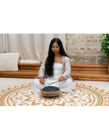 Meinl Sonic Energy MOSTD2NB Medium Octave Steel Tongue Drum 10