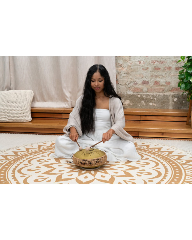 Meinl Sonic Energy MOSTD3G Medium Octave Steel Tongue Drum 10