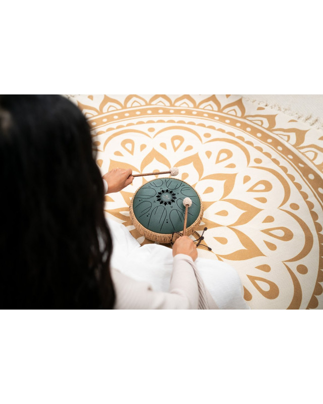 Meinl Sonic Energy MOSTD4DG Medium Octave Steel Tongue Drum 10