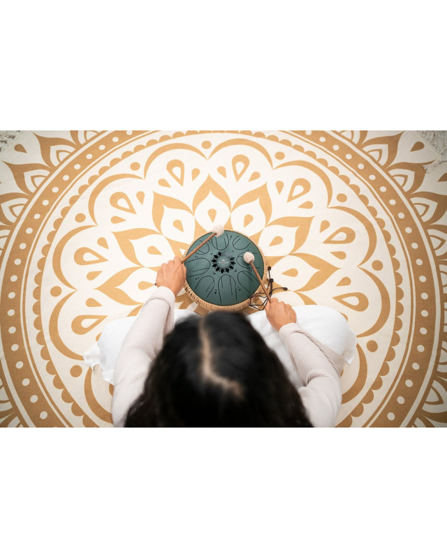 Meinl Sonic Energy MOSTD4DG Medium Octave Steel Tongue Drum 10