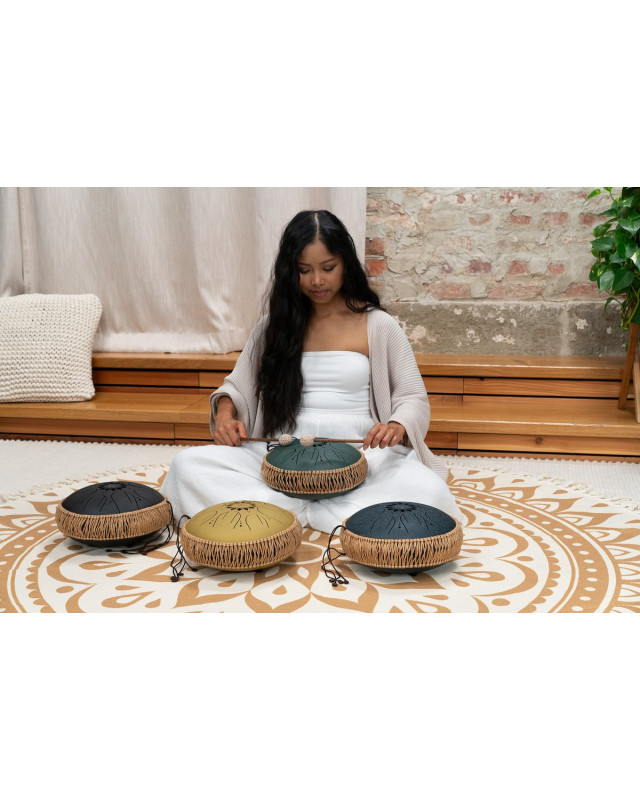 Meinl Sonic Energy MOSTD4DG Medium Octave Steel Tongue Drum 10