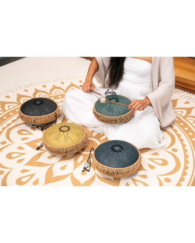 Meinl Sonic Energy MOSTD4DG Medium Octave Steel Tongue Drum 10