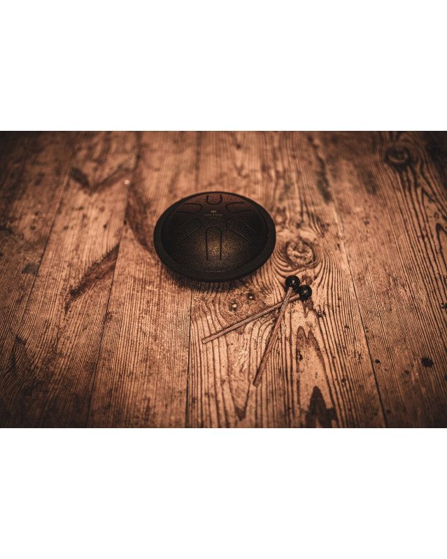 Meinl Sonic Energy MSTD1BK Mini Steel Tongue Drum 6