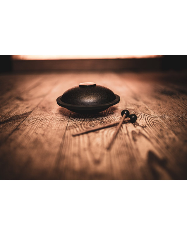 Meinl Sonic Energy MSTD1BK Mini Steel Tongue Drum 6