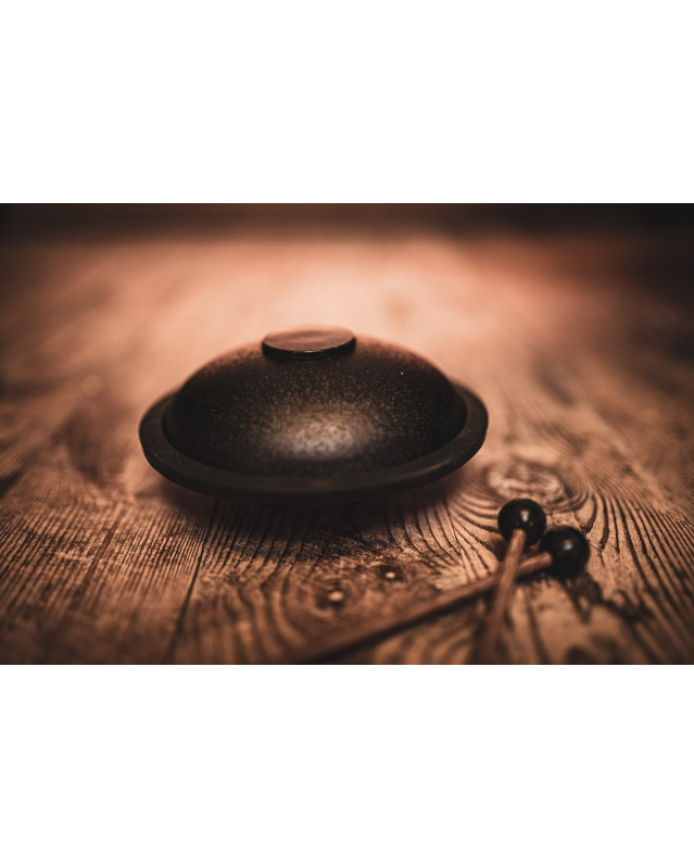 Meinl Sonic Energy MSTD1BK Mini Steel Tongue Drum 6